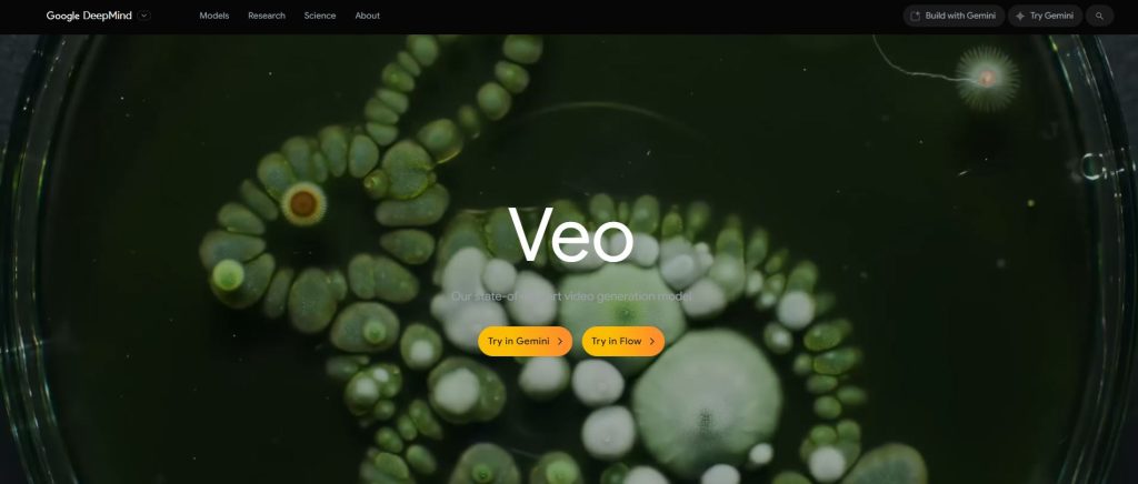 Google VEO Best AI video generators